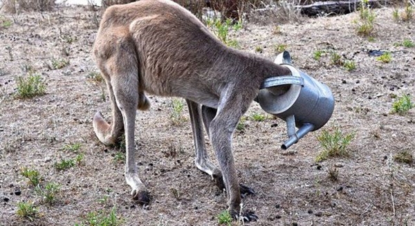Foto - Hayatlarının en büyük derslerini aldılar!