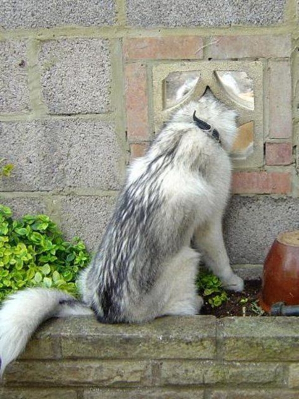 Foto - Hayatlarının en büyük derslerini aldılar!