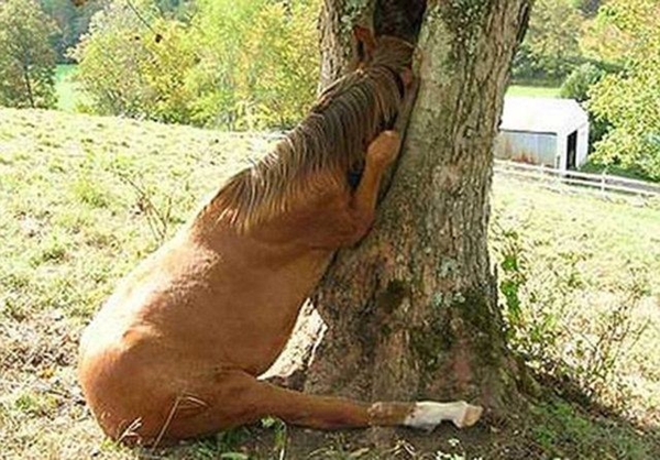 Foto - Hayatlarının en büyük derslerini aldılar!