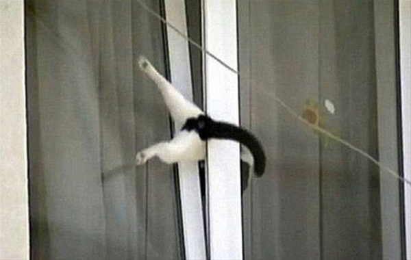 Foto - Hayatlarının en büyük derslerini aldılar!