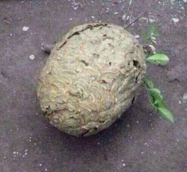 Foto - Hayatlarının en büyük derslerini aldılar!