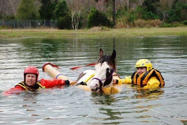 Foto - Hayatlarının en büyük derslerini aldılar!