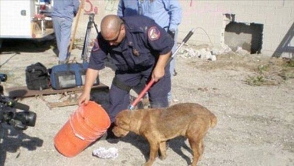 Foto - Hayatlarının en büyük derslerini aldılar!