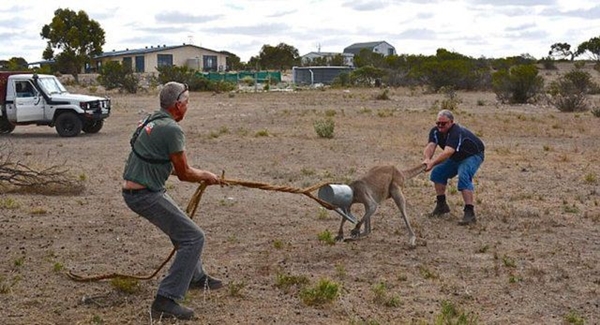 Foto - Hayatlarının en büyük derslerini aldılar!