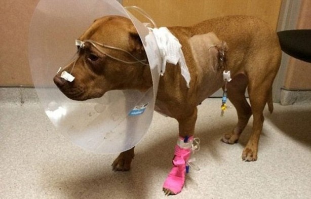 Foto - Hayatlarının en büyük derslerini aldılar!