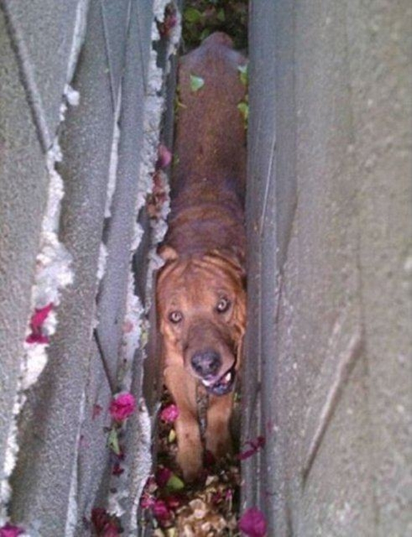 Foto - Hayatlarının en büyük derslerini aldılar!