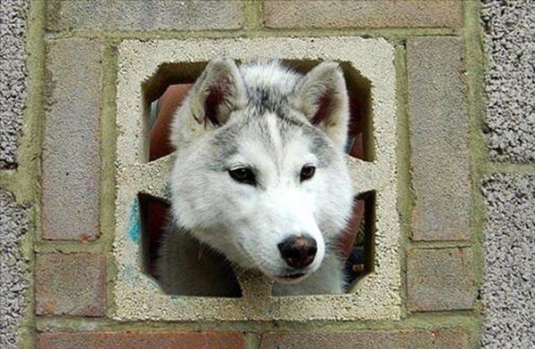 Foto - Hayatlarının en büyük derslerini aldılar!