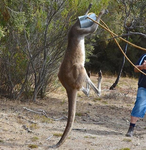 Foto - Hayatlarının en büyük derslerini aldılar!