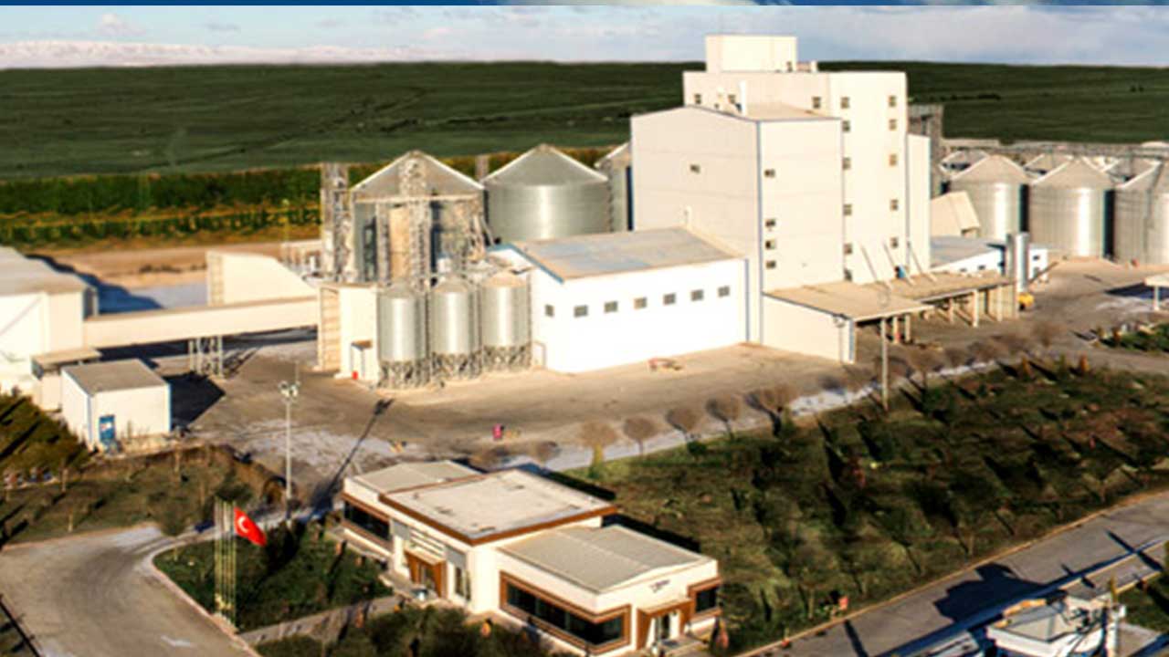 Foto - Hayatta kalmaları için her şey yapıldı ama olmadı: Türkiye'nin tarım devi iflas etti