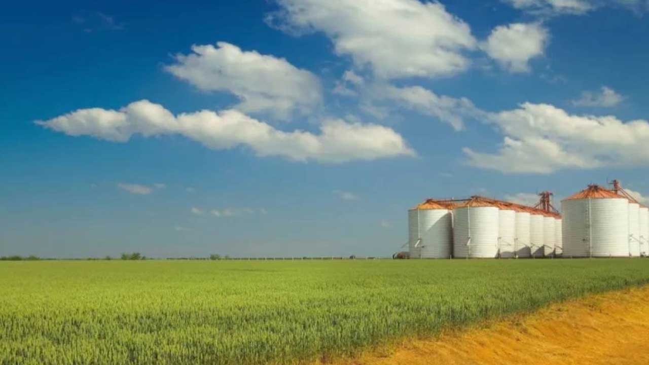 Hayatta kalmaları için her şey yapıldı ama olmadı: Türkiye'nin tarım devi iflas etti