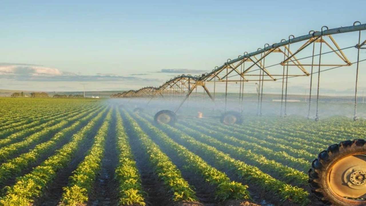 Foto - Hayatta kalmaları için her şey yapıldı ama olmadı: Türkiye'nin tarım devi iflas etti