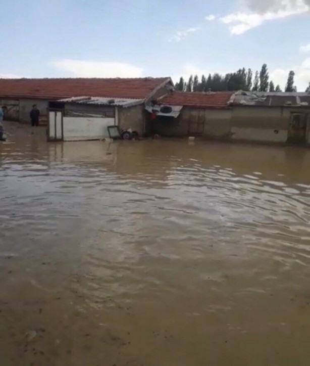 Foto - Haymana’yı sel vurdu, hayvanlar telef oldu: "Böyle bir şey daha görmedim"