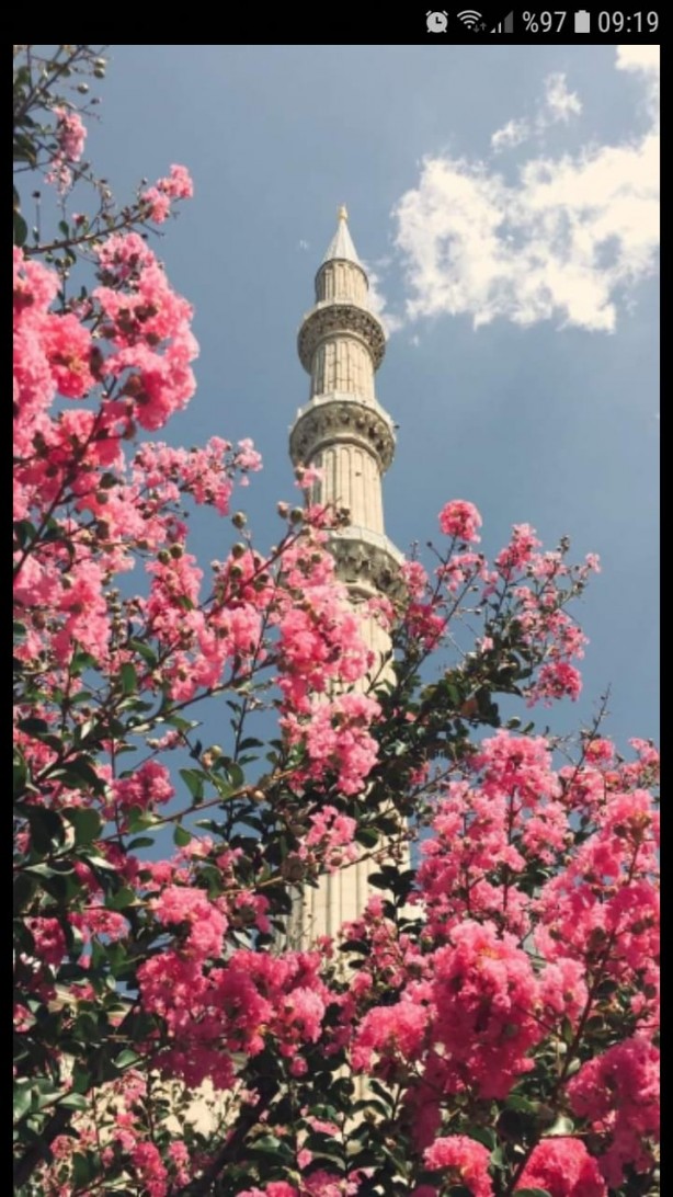 Foto - Hayran bırakan muhteşem doğa fotoğrafları