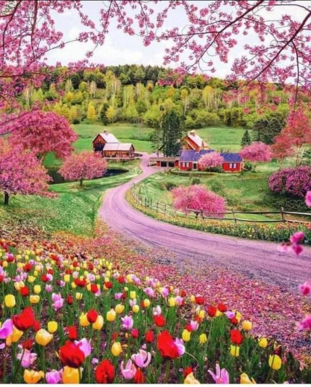 Foto - Hayran bırakan muhteşem doğa fotoğrafları