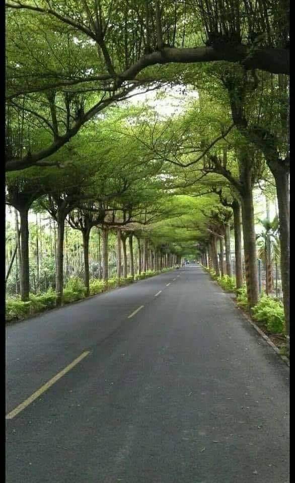 Foto - Hayran bırakan muhteşem doğa fotoğrafları