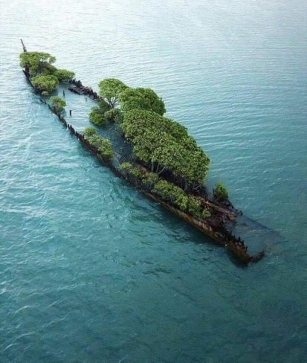 Foto - Hayran bırakan muhteşem doğa fotoğrafları