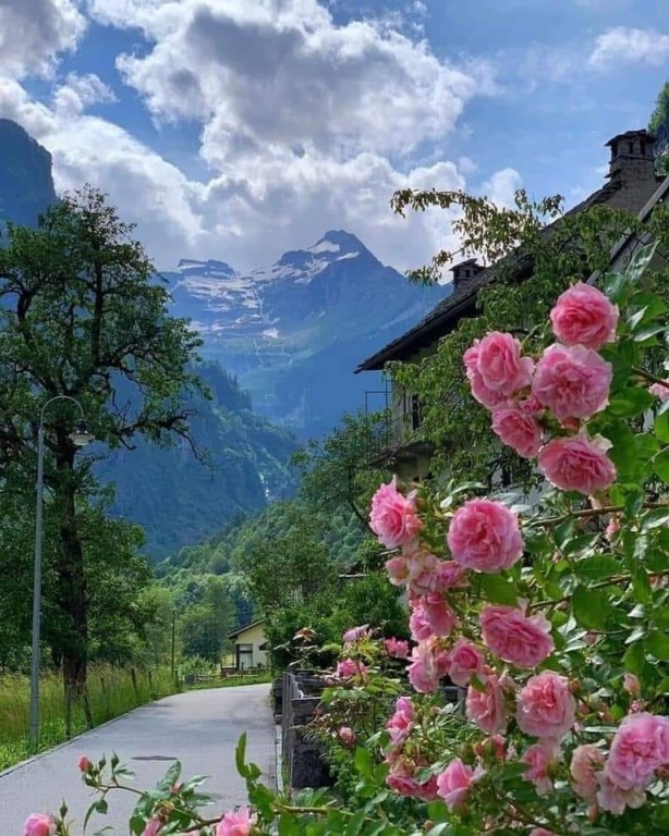 Foto - Hayran bırakan muhteşem doğa fotoğrafları