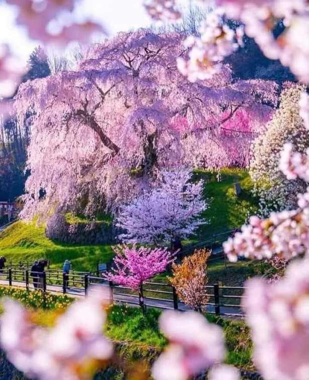 Foto - Hayran bırakan muhteşem doğa fotoğrafları