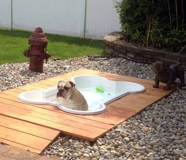 Foto - Hayran kalacaksınız! Muhteşem dekorasyon fikirleri...