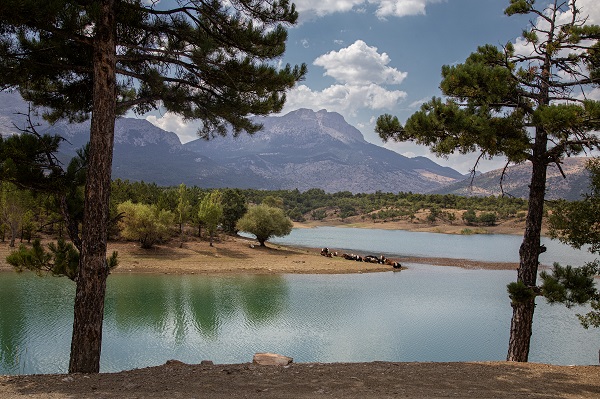 Foto - Hayran kalmamak elde değil! Burası Norveç değil Konya
