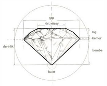 Foto - Hayrete düşüren gerçekler