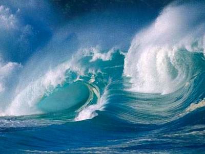 Foto - Hayrete düşüren gerçekler