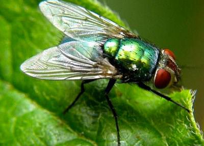 Hayrete düşüren gerçekler