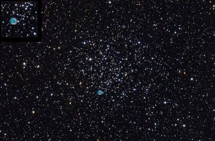 Foto - Hayrete düşüren gerçekler