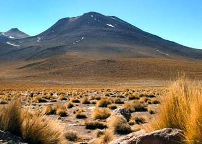 Foto - Hayrete düşüren gerçekler