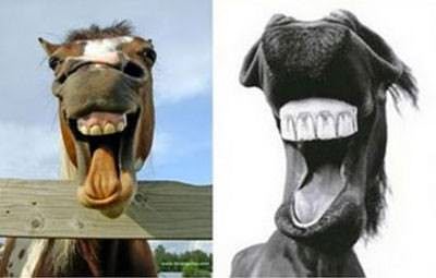 Foto - Hayrete düşüren gerçekler