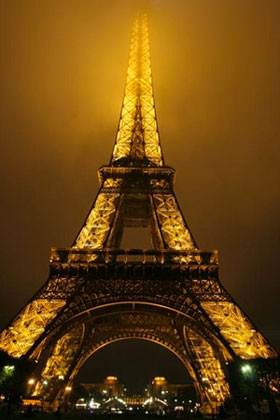 Foto - Hayrete düşüren gerçekler