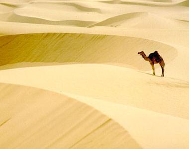 Foto - Hayrete düşüren gerçekler