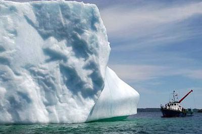 Foto - Hayrete düşüren gerçekler