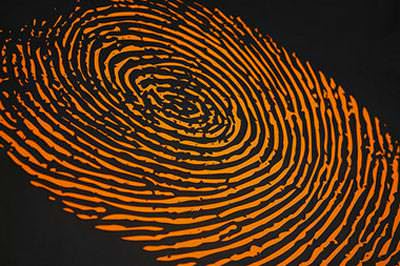 Foto - Hayrete düşüren gerçekler