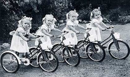 Foto - Hayrete düşüren gerçekler