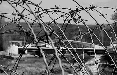 Foto - Hayrete düşüren gerçekler