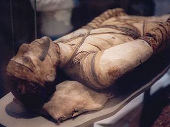 Foto - Hayrete düşüren gerçekler