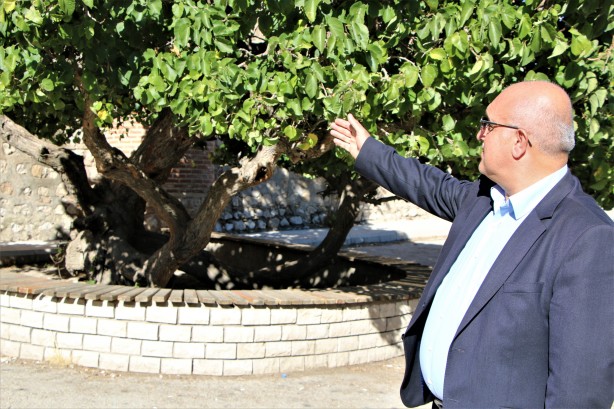 Hayrete düşüren olay! Kadir Gecesi'nde secde eden dut ağacı...