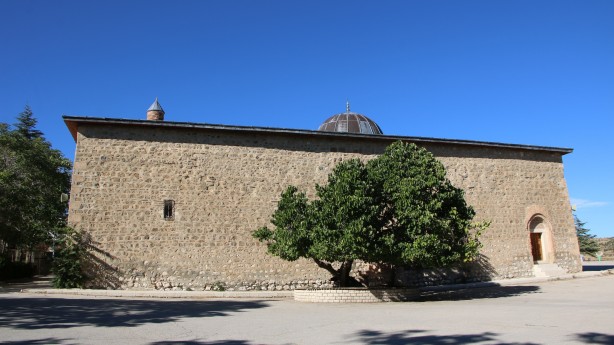 Foto - Hayrete düşüren olay! Kadir Gecesi'nde secde eden dut ağacı...