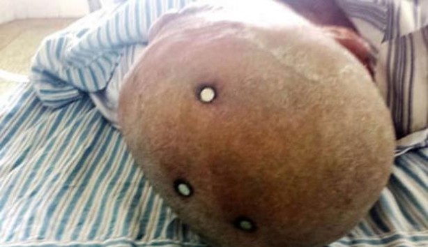 Foto - Hayrete düşeceksiniz!