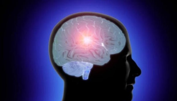 Foto - Hayrete düşeceksiniz!