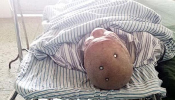 Foto - Hayrete düşeceksiniz!