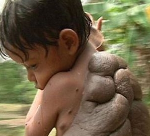 Foto - Hayrete düşeceksiniz!