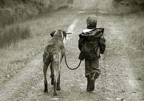 Foto - Hayrete düşeceksiniz!