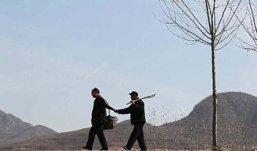 Foto - Hayrete düşeceksiniz!