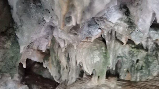 Foto - Hayvan otlatırken buldular! Binlerce yıllık bir mağara