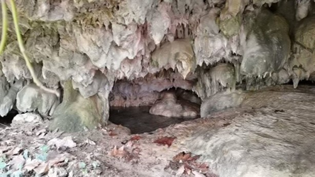 Foto - Hayvan otlatırken buldular! Binlerce yıllık bir mağara