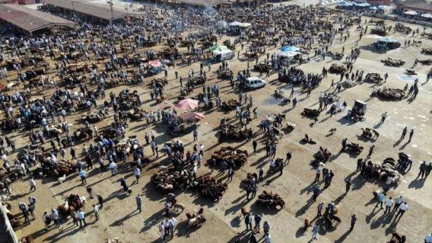 Foto - Hayvan pazarlarında kurbanlıklara yoğun ilgi