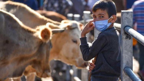 Foto - Hayvan pazarlarında kurbanlıklara yoğun ilgi