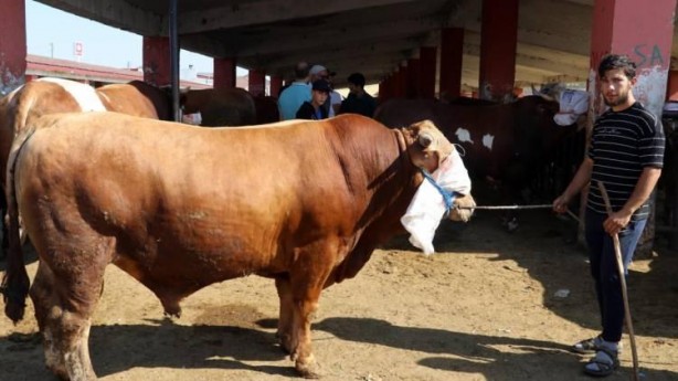 Foto - Hayvan pazarlarında kurbanlıklara yoğun ilgi
